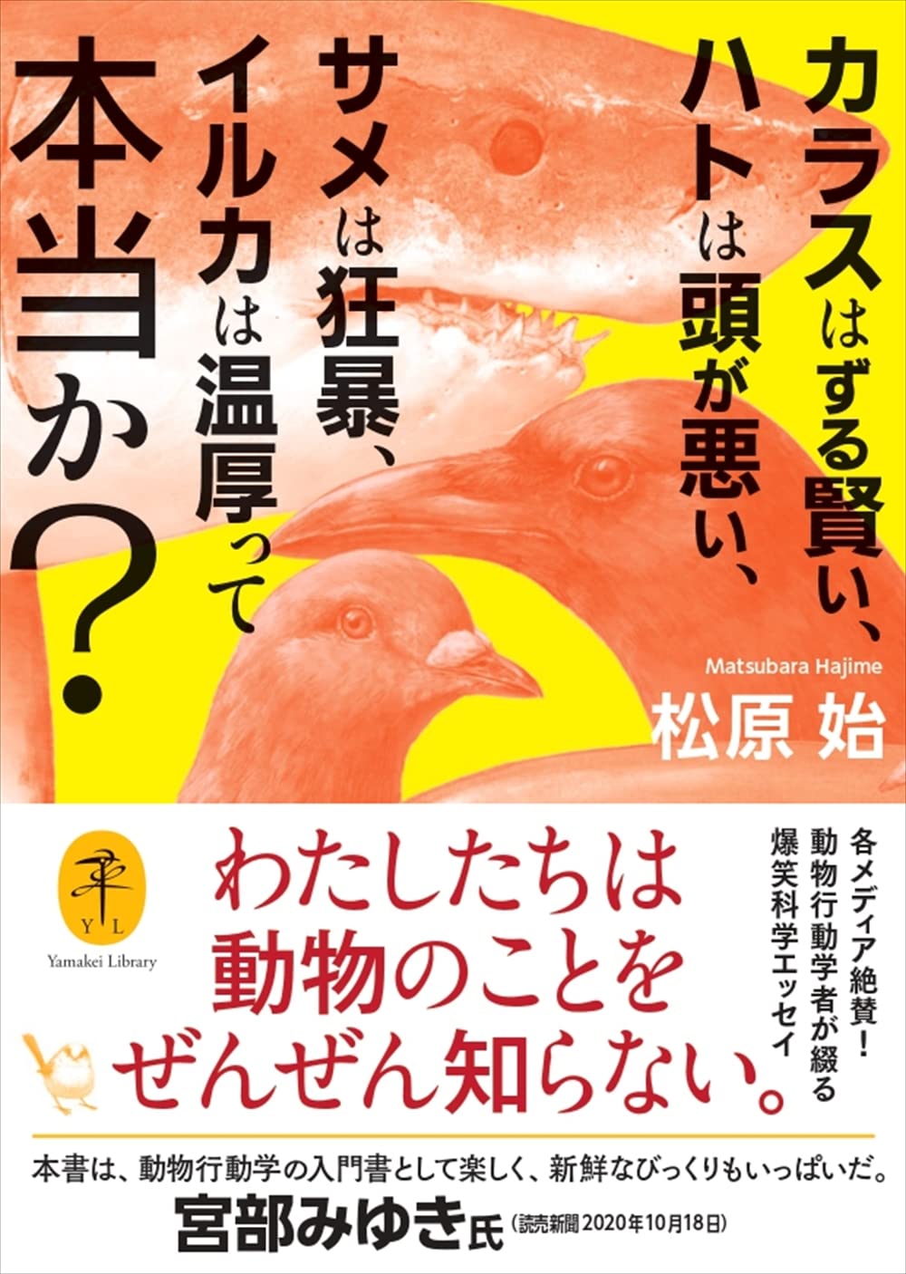 表紙_今日の一冊