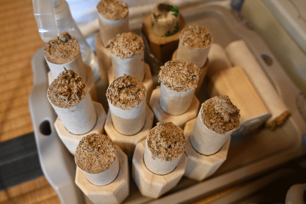 8角形のホルダーに灸をセットしたもの。特別注文で、灸にピッタリのサイズで転がりにくく、持ちやすい形状になるよう改良を重ねている